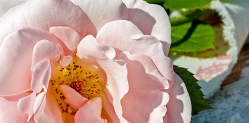 Was für uns spricht