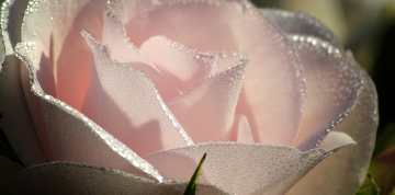 Was Sie noch interessieren könnte